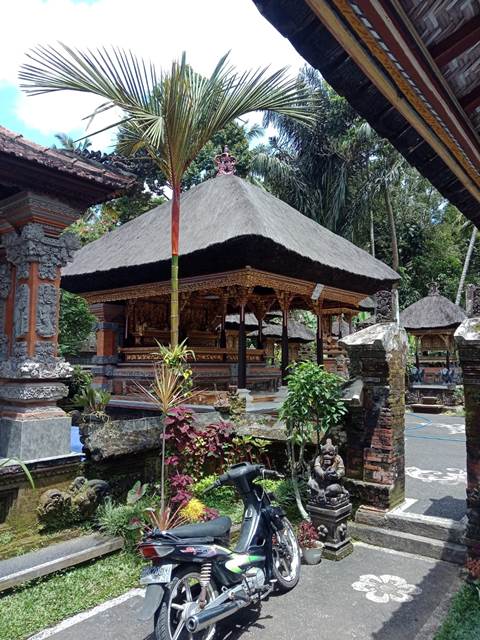 atap ijuk bali8